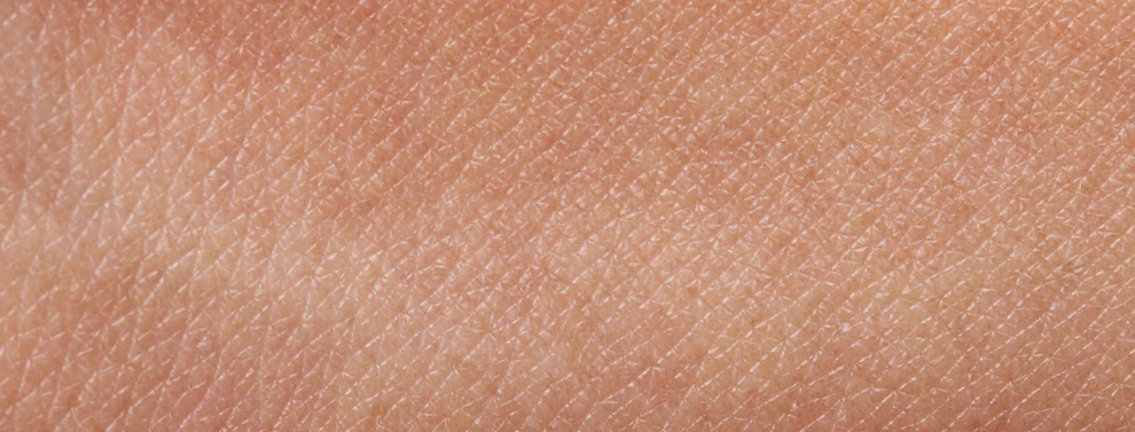 Close-up of skin texture