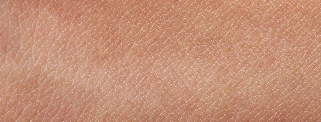 Close-up of skin texture